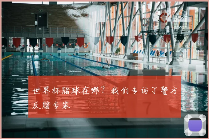 世界杯赌球在哪?我们专访了警方反赌专家