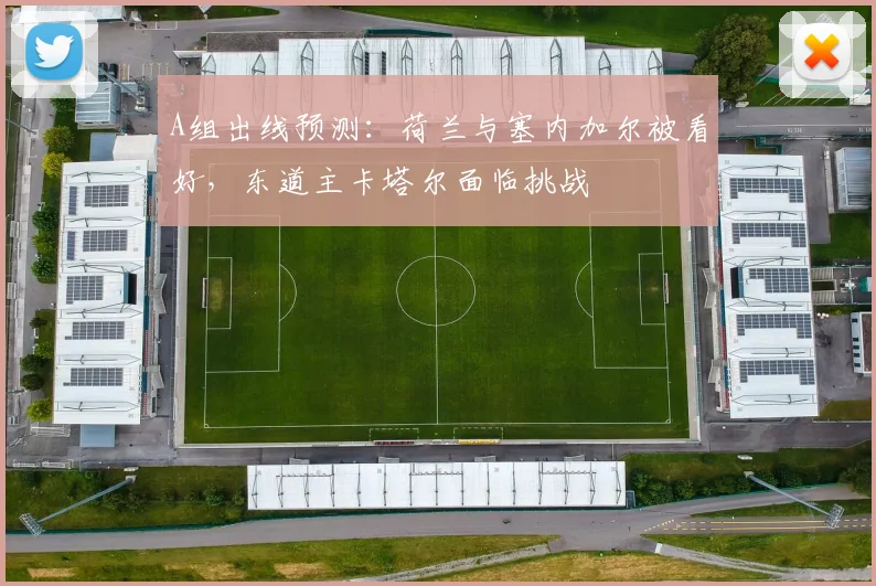 A组出线预测：荷兰与塞内加尔被看好，东道主卡塔尔面临挑战