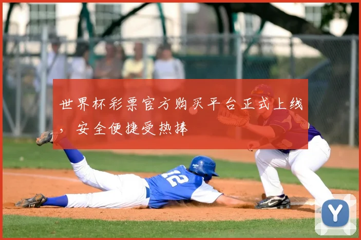 世界杯彩票官方购买平台正式上线,安全便捷受热捧