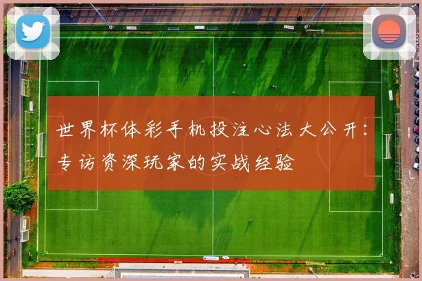 世界杯体彩手机投注心法大公开：专访资深玩家的实战经验