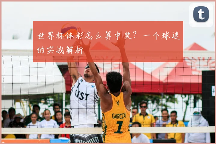世界杯体彩怎么算中奖？一个球迷的实战解析