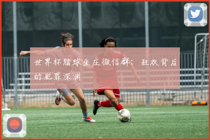 世界杯赌球坐庄微信群:狂欢背后的犯罪深渊