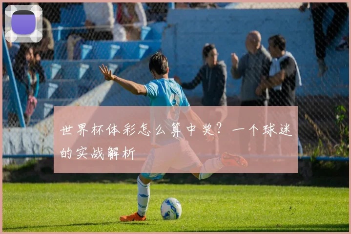 世界杯体彩怎么算中奖?一个球迷的实战解析