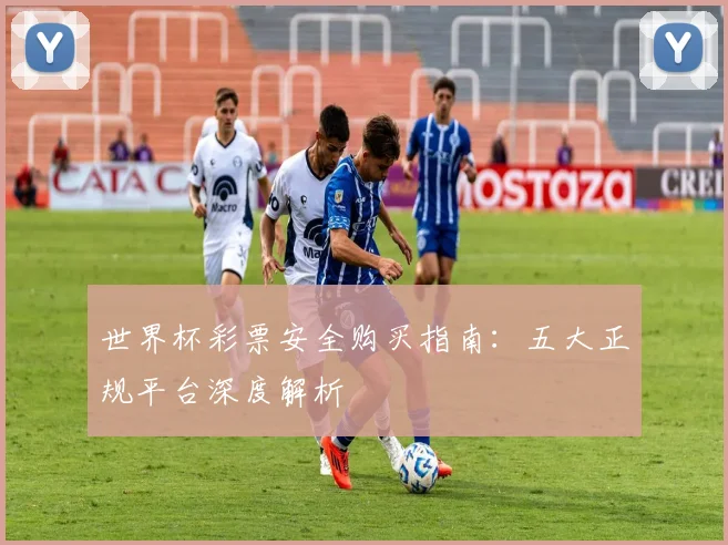 世界杯彩票安全购买指南：五大正规平台深度解析