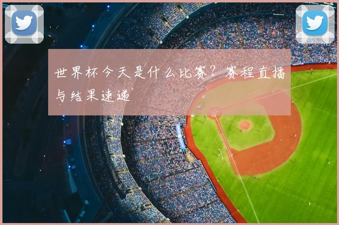 世界杯今天是什么比赛？赛程直播与结果速递