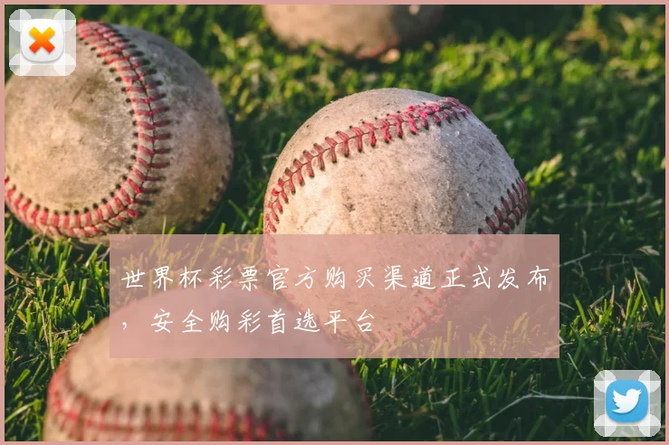 世界杯彩票官方购买渠道正式发布，安全购彩首选平台
