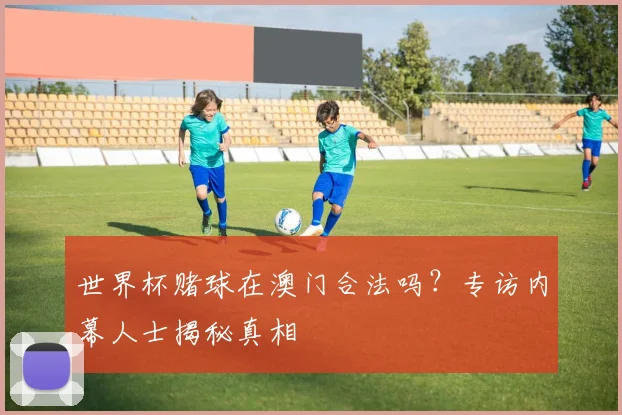 世界杯赌球在澳门合法吗？专访内幕人士揭秘真相